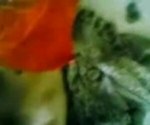 বাঁড়ার রস খাবার ব্লজব মুখগত সানি লিওন সেক্স ভিডিও এইচডি